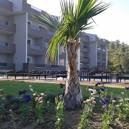 Tropicana * Акбук